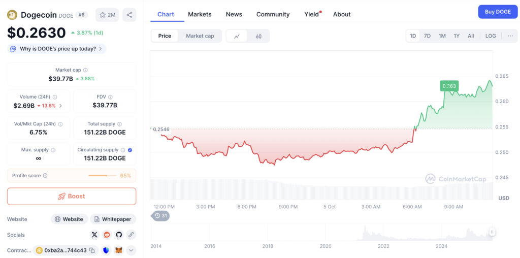 نمودار قیمت و اطلاعات بازار دوج کوین - منبع: CoinMarketCap